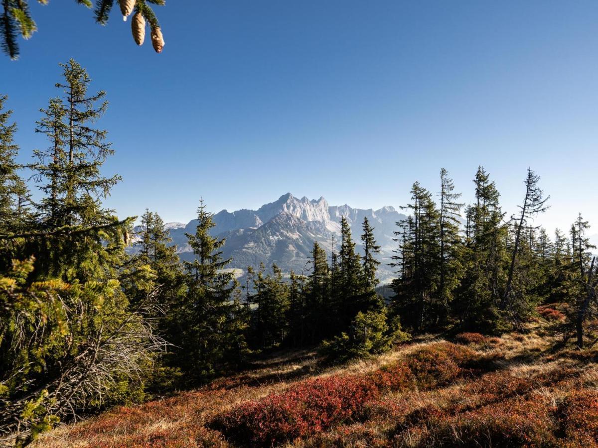 Schattbergblick